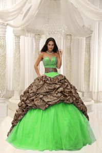 Leopard Beaded Sweetheart Quinceanera Gown Dress in Yapacan Bolivia