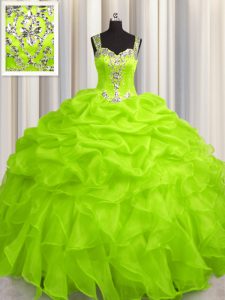 Free and Easy See Through Zipper Up Organza Zipper Straps Sleeveless Floor Length Sweet 16 Quinceanera Dress Appliques and Ruffles