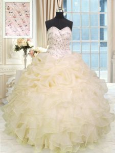 Shining Champagne Sleeveless Organza Lace Up Sweet 16 Dresses for Military Ball and Sweet 16 and Quinceanera