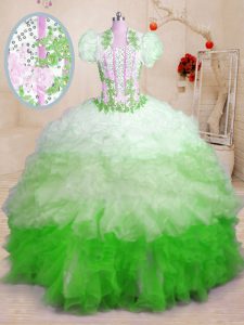 Exceptional Multi-color Organza Lace Up Sweetheart Sleeveless With Train Ball Gown Prom Dress Brush Train Beading and Appliques and Ruffles