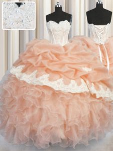 Designer Organza Sleeveless Floor Length Sweet 16 Quinceanera Dress and Appliques and Ruffles and Pick Ups