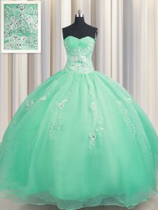 Edgy Zipper Up Organza Sleeveless Floor Length 15th Birthday Dress and Beading and Appliques