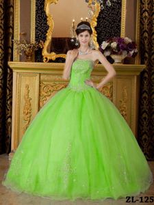 Strapless Spring Green Organza Beading Quinceanera Dress in College Park MD