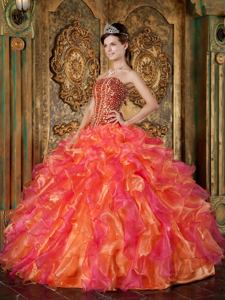Multi-Colored Strapless Organza Beaded Ruffled Quinceanera Dress