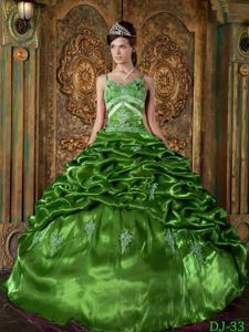 Green Floor-length Taffeta Quinceanera Dresses with Beading in Denton