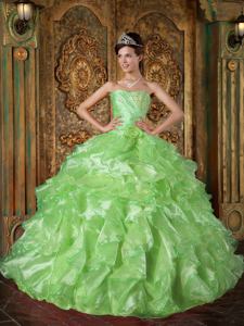 Strapless Floor-length Beaded Ruffled Quinceanera Dresses in Green
