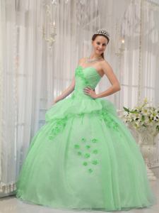 Apple Green Sweetheart Organza Quinceanera Gown with Appliques
