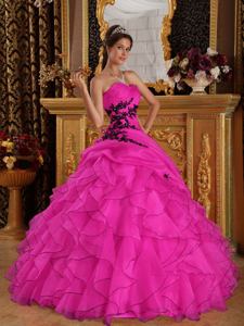 Hot Pink Sweetheart Organza Appliqued Quince Dress with Ruffles