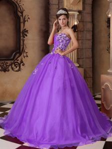Sweetheart Organza Quinceanera Dress in Purple with Beading in York PA