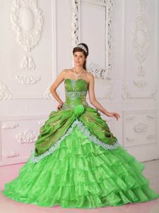 Strapless Lace Appliqued Quinceanera Dress in Spring Green in Mendoza