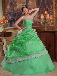 Sweetheart Appliqued Organza Quinceanera Dress in Green in Castelar Argentina