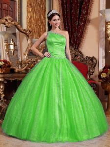One Shoulder Floor-length Beaded Quinceanera Dresses in Green in Venado Tuerto