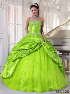 Beaded Appliques and Pick Ups Green Quinceanera Gowns in Green Lake WI