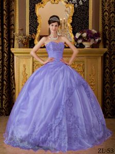 Ruched Sweetheart Puffy Sweet 15 Dresses with Embroidery in Martinsburg