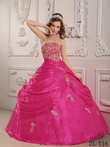 Hot Pink Quinceaneras Dress with Appliques and Pick Ups in Wheeling