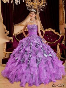 Cheap Ruffles and Ruched Dress For Quinceanera with Leopard for Woman
