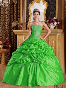 Embroidery and Pick Ups Green Quinceanera Gown Dresses in Snoqualmie