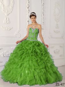 Green Appliques and Ruffles Decorated Quinceanera Dress in Oak Harbor