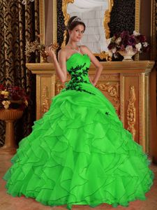 Green Ball Gown Sweetheart Organza Appliques Quinceanera Dress in Springfield