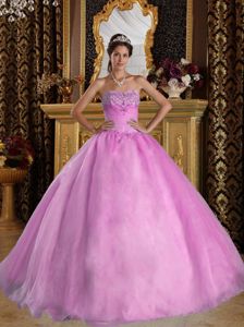 Pink Ball Gown Sweetheart Organza Beading Quinceanera Dress in Jefferson City