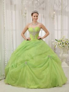 Yellow Green Sweetheart Organza Quinceanera Gown Dresses with Appliques