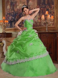 Spring Green A-line Sweetheart Appliques Organza Quince Dress in Hattiesburg