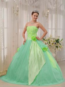 Two-toned Green Strapless Quinceanera Dress with Hand Made Flowers