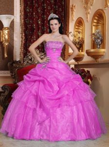 Ball Gown Strapless Organza Quinceanera Dress with Beading in Bloomington