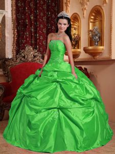 Spring Green Strapless Taffeta with Beading and Pick-ups Quinceanera Dress