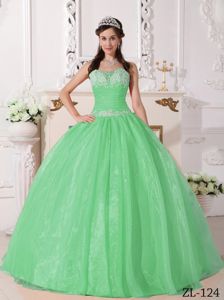 Apple Green Strapless Appliques Quinceanera Gown Dresses in Sterling Heights