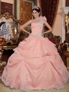 Baby Pink Flower One Shoulder Organza Appliques Quinceanera Gown Dresses