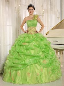Yellow Green One Shoulder Quince Dresses with Embroidery and Pick-ups