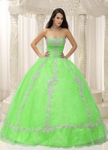 Bright Green Sweetheart Floor-length Sweet Sixteen Dresses with Appliques