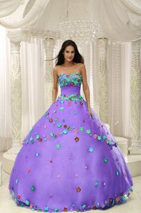 Special Lavender Appliqued Strapless Full-length Quinces Dresses in Aurora