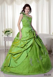 Green Flower One Shoulder Quinceanera Gown with Pick-ups and Appliques