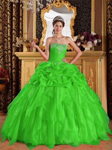 Spring Green Appliques Organza Beaded Guayabal Quinceanera Dresses