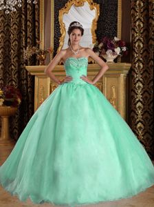 Ruched Apple Green Sweet 15 Quinceanera Dress with Hand Made Flowers