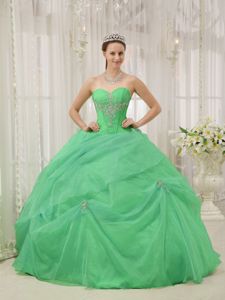 Pick-ups Ruched Beading Apple Green Organza Sweet 16 Dresses in Tucacas