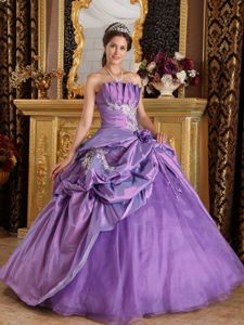 Pick-ups Flower Lavender Appliques Quinceanera Dress in Doctor Botrell