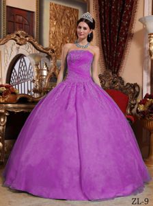 Cheap Appliques Purple Organza Quinceanera Dresses in Nuevo San Juan