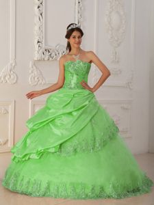 Spring Green Strapless Beading Quinceanera Dress in Cokabilla
