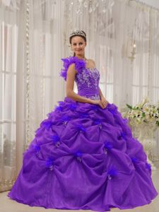 Ruffled One-shoulder Appliques Quince Dresses in Purple with Pick-ups