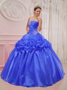 Blue Ball Gown Strapless Floor-length Appliques Dress for Quince