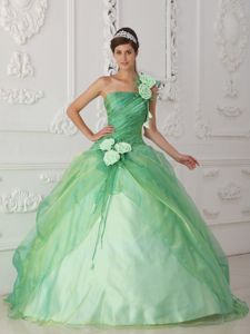 Floral One Shoulder Sweet Sixteen Dresses in Apple Green at Leon