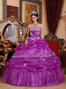 Appliques Strapless Pick-ups Quinceanera Dress in Light Purple