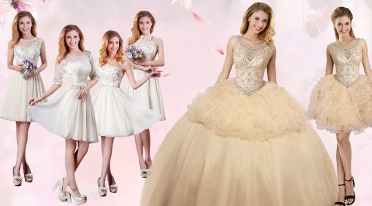 Scoop Sleeveless Lace Up Quinceanera Gown Champagne Organza and Tulle
