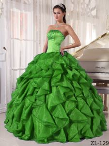 Green Satin and Organza Beading Quinceanera Dress in Alzey Germany