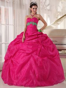 Hot Pink Sweetheart Appliques Quince Dresses in Andernach Germany