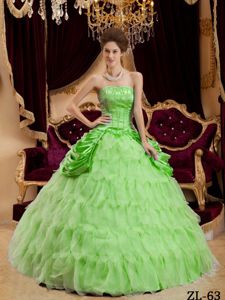 Spring Green Strapless Ruffles Tulle Quinceanera Gown in Aichtal Germany