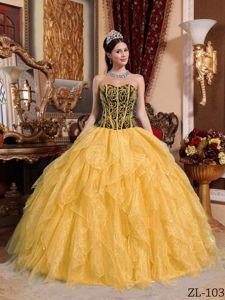 Gold Sweetheart Embroidery with Beading and Boning Details Quince Dress